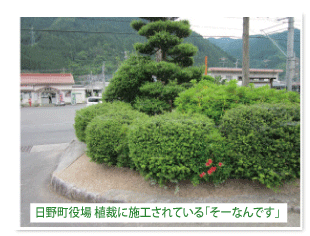 日野町役場の植栽に施工されている「そーなんです」